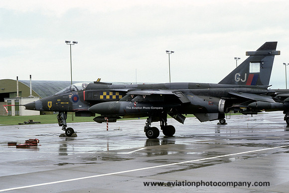 RAF 54 Squadron Sepecat Jaguar GR.1 XX727/GJ (1981)