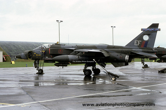 RAF 6 Squadron Sepecat Jaguar GR.1 XX742/EF (1981)