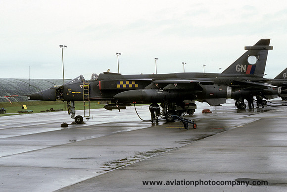 RAF 54 Squadron Sepecat Jaguar GR.1 XZ395/GN (1981)