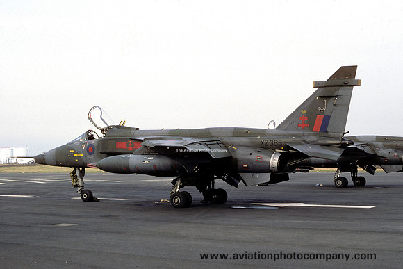RAF 41 Squadron Sepecat Jaguar GR.1 XZ365/J (1981)