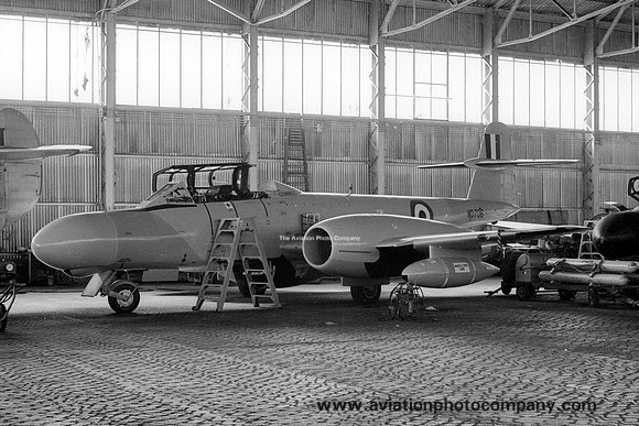 RAF 3/4 CAACU Gloster Meteor TT.20 WD706 (1969)