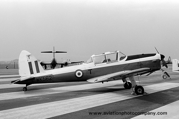 RAF 3 AEF DHC-1 Chipmunk T.10 WK562/T (1975)