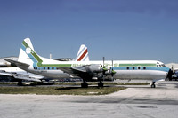 Shillelaghs Lockheed L-188 Electra (1986)