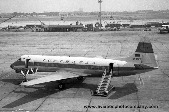 Lufthansa Vickers Viscount D-ANEF at London Heathrow (1959)