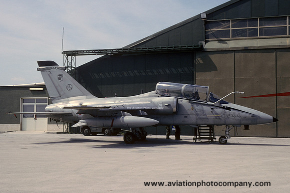 Italian Air Force 32 Stormo Aeritalia AMX-T MM55048/32-44 (2002)