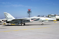 US Navy VF-211 Grumman F-14A Tomcat 159631/NG-111 (1981)