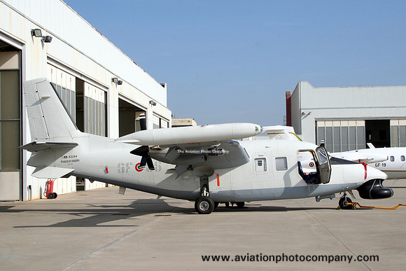 Italian Guardia Piaggio P-166DP-1 MM62264/GF-06 at Pratica di Mare (2013)