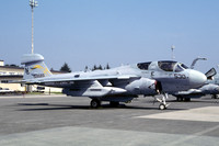 US Navy VAQ-128 Grumman EA-6B Prowler 159585/NL-530 (2003)