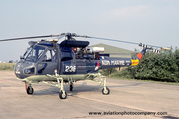 Dutch Navy 860 Squadron Westland Wasp AH-12A 236 (1977)
