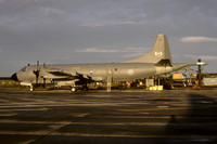 Canadian Armed Forces Lockheed CP-140 Aurora 140103 (1987)