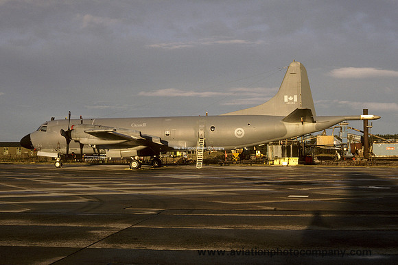 Canadian Armed Forces Lockheed CP-140 Aurora 140103 (1987)