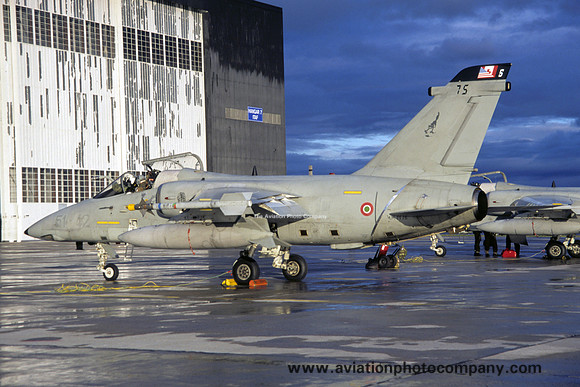 Italian Air Force 51 Stormo Aeritalia AMX MM7175/51-42 (2003)