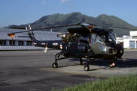 Royal New Zealand Navy 3 Squadron Westland Wasp HAS.1 NZ3906 (1987)