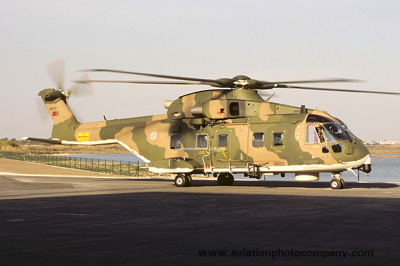 Portuguese Air Force Esq 751 Agusta Westland AW-101-514 19603 (2005)
