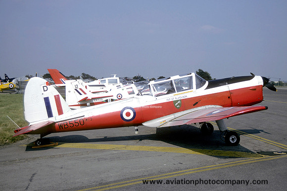 RAF 6 AEF DHC-1 Chipmunk T.10 WB550/D (1994)