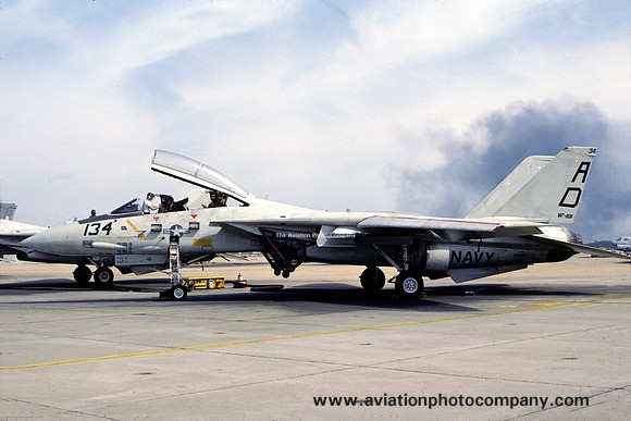 US Navy VF-101 Grumman F-14A Tomcat 159467/AD-134 (1983)
