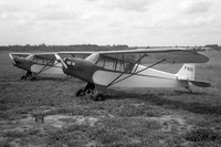 Piper L-4A Grasshopper F-BGQC
