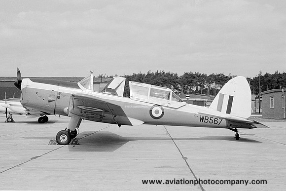 RAF 12 AEF DHC-1 Chipmunk T.10 WB567 at RAF Lossiemouth (1976)