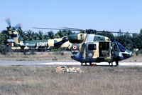 Indian Army HAL Dhruv IA-1109 (2005)