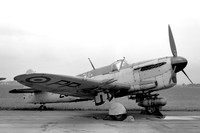 Royal Navy Fairey Firefly T.3 PP433 (1953)