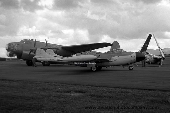 Royal Navy De Havilland Sea Venom NF.21 WM568 (1958)