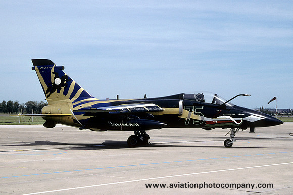 Italian Air Force 51 Stormo Aeritalia AMX MM7115 (2003)