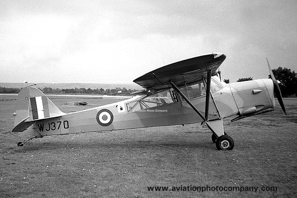 Army Air Corps 1391 Flight Auster AOP.6 WJ370 (1956)
