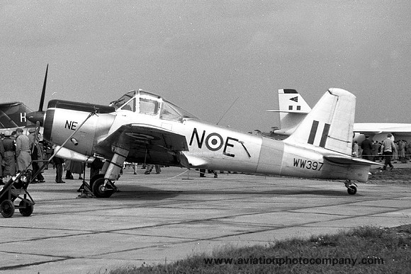 RAF 1 FTS Percival Provost T.1 WW397 (1957)