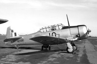 RNZAF ANS North American AT-6C Harvard IIA NZ1010 (1959)