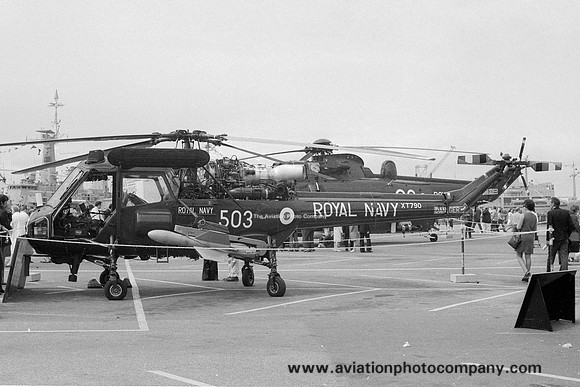 Royal Navy 703 Squadron Westland Wasp HAS.1 XT790/503 (1973)