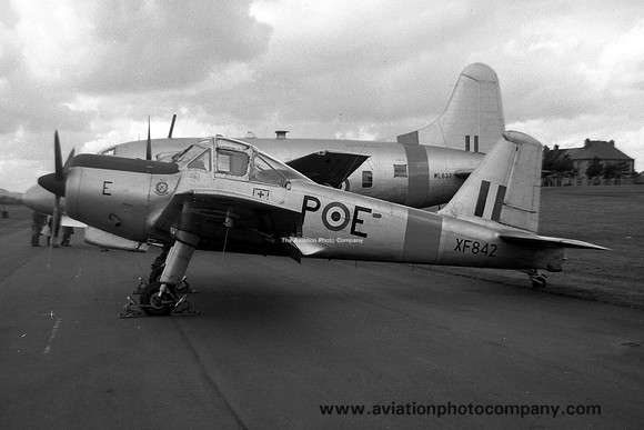 RAF 1 FTS Percival Provost T.1 XF842 (1958)