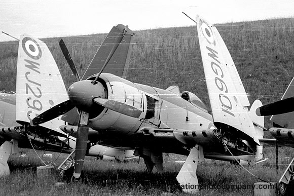 Royal Navy Hawker Sea Fury FB.11 WG601 stored at RNAS Lossiemouth (1960)