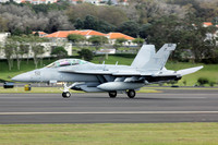 US Navy VAQ-135 Boeing EA-18G Growler 166941/NL-521 at Lajes (2012)