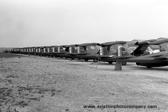 French Navy De Havilland DH.112 Sea Venom Lineup