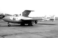 RAF 1 FTS De Havilland Vampire T.11 XD616/61 (1961)