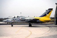 Italian Air Force Aeritalia AMX MM7148 (2004)