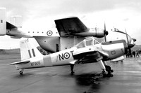 RAF 6 FTS Percival Provost T.1 XF905 (1957)