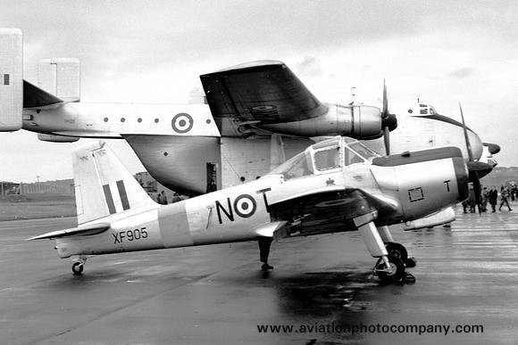 RAF 6 FTS Percival Provost T.1 XF905 (1957)