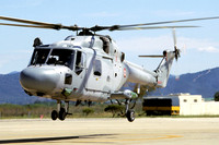 French Navy 31F Westland Lynx HAS.4 814 at Hyeres (2004)