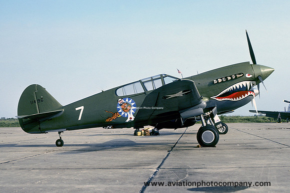 Curtiss P-40E Warhawk N151U (1978)