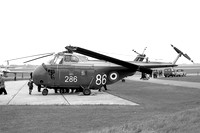 Royal Navy Westland Whirlwind HAS.7 XN307 at RNAS Lee on Solent (1963)