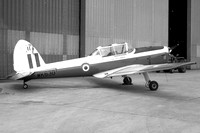 RAF 2 AEF DHC-1 Chipmunk T.10 WK630/11 (1976)