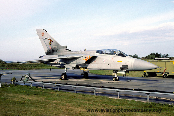 RAF 29 Squadron Panavia Tornado F.3 ZH553/BY (1994)