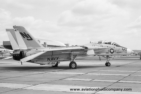 US Navy VF-124 Grumman F-14A Tomcat 159443/NJ-447 (1975)