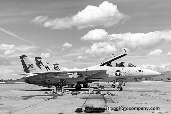 US Navy VF-213 Grumman F-14A Tomcat 160925/NH-210 (1982)