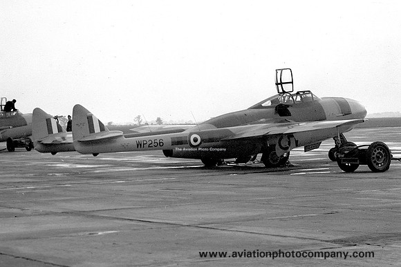 RAF 23 Squadron De Havilland Vampire NF.10 WP256