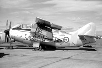 Royal Navy Abbotsinch AHU Fairey Gannet T.2 XA528 (1959)