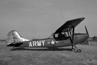 L-19/O-1 Bird Dog (Cessna)