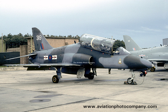 RAF 1 TWU 79 Squadron Hawker Siddeley Hawk T.1 XX319 (1984)