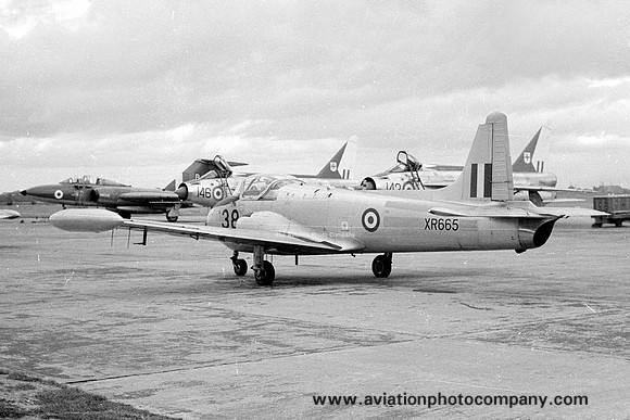 RAF 1 FTS Hunting Jet Provost T.4 XR665/38 (1963)